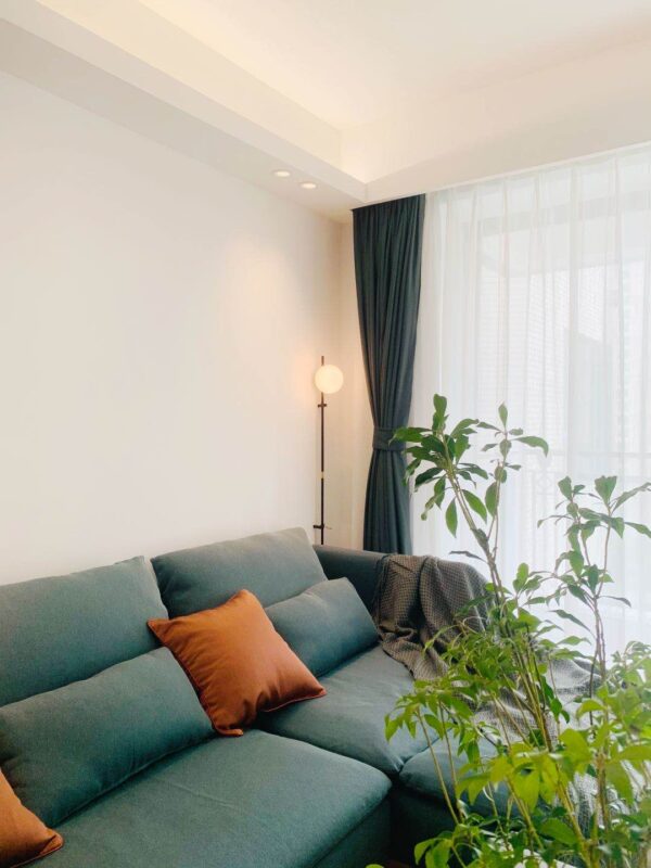 2br 2ba，21k，xujiahui（line1/9/11）