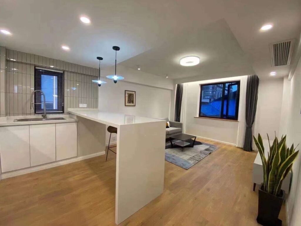1br，13.8k，west nanjing rd（line2/12/13）